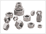 HEX NUT