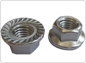 Flange Nut Manufacturer in Mumbai