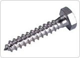 COACH SCREW