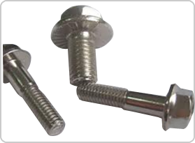 flange hex screw Manufacturer in Mumbai